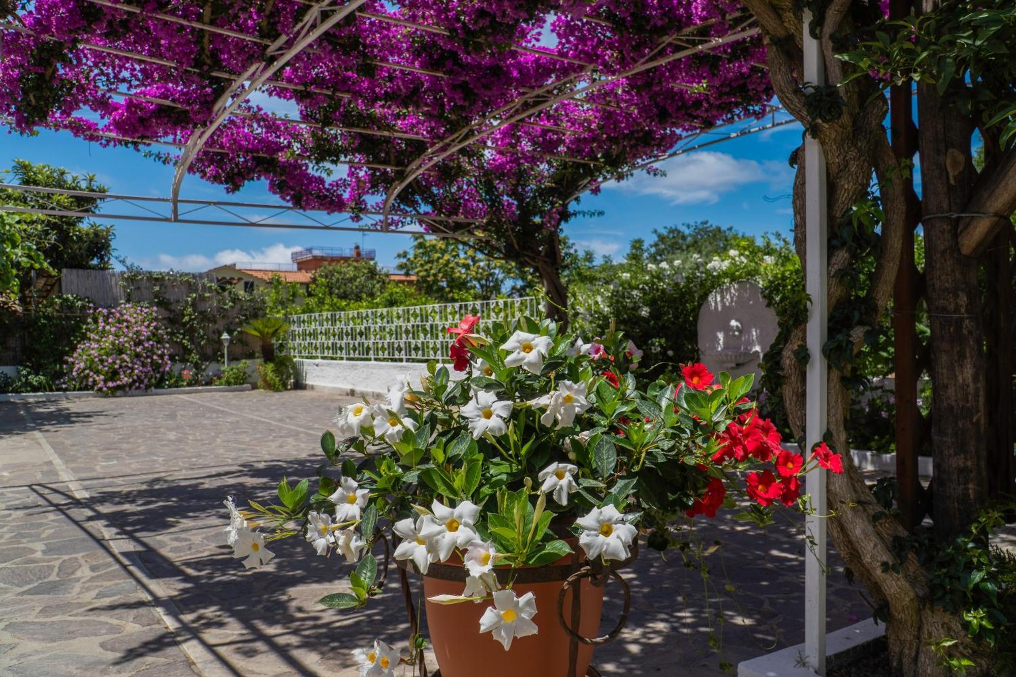 Villa Iolanda Piano di Sorrento Exterior photo